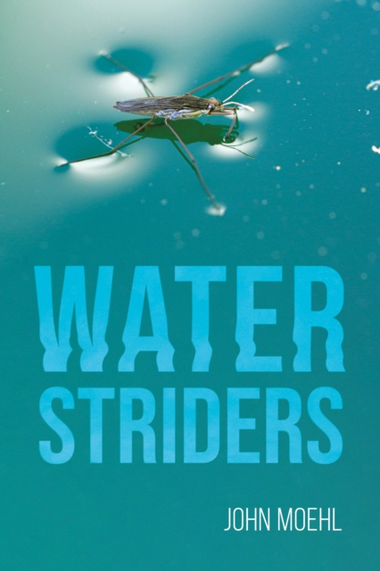 E-knjiga Water Striders John Moehl