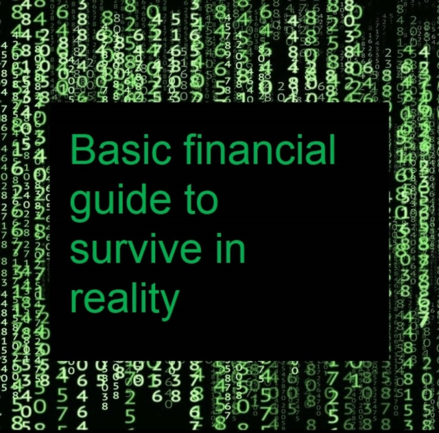 E-knjiga Basic Financial Guide Celia Rodriguez