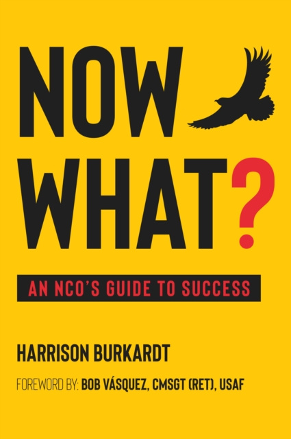 E-knjiga What Now? Harrison Burkardt