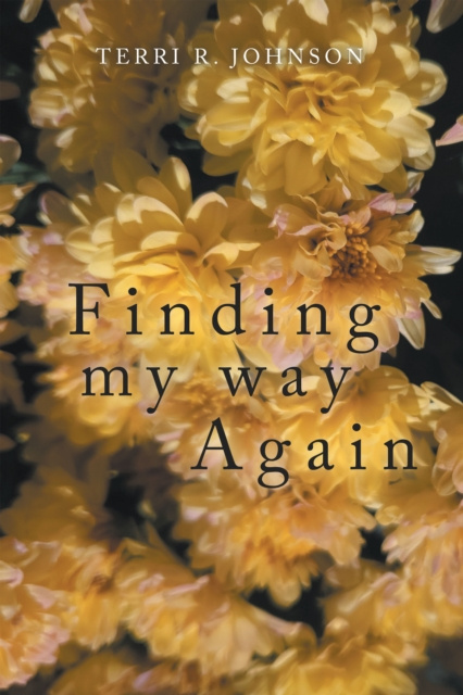 E-kniha Finding My Way Again Terri R Johnson