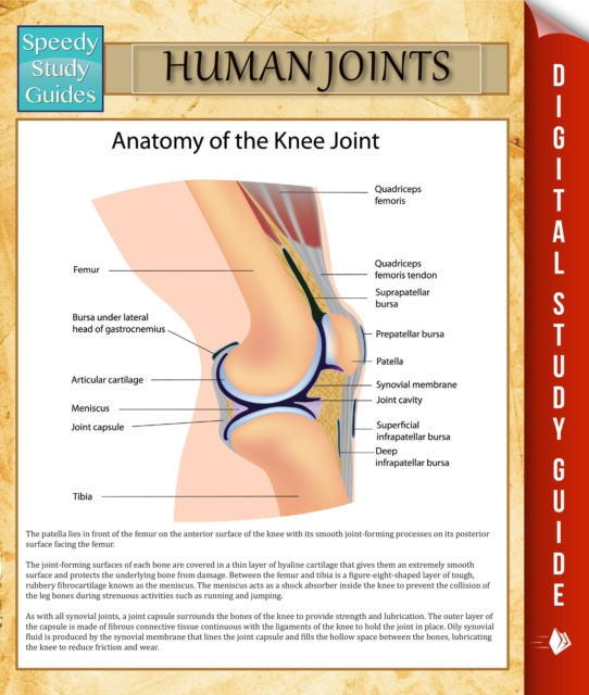 E-book Human Joints Speedy Publishing