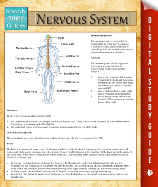 E-book Nervous System Speedy Publishing