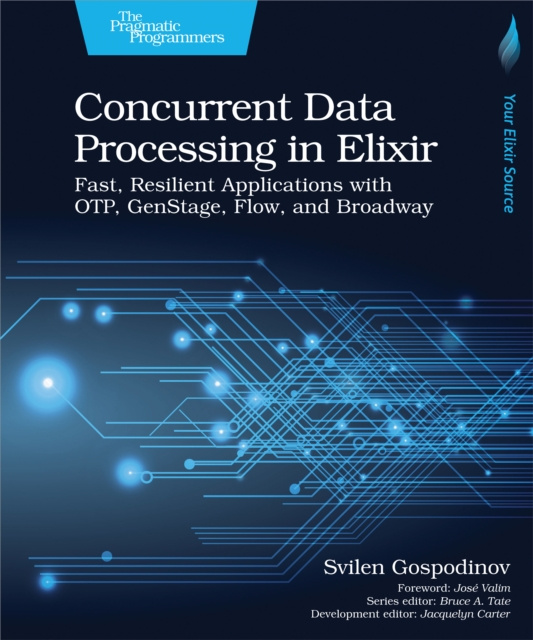 E-knjiga Concurrent Data Processing in Elixir Svilen Gospodinov