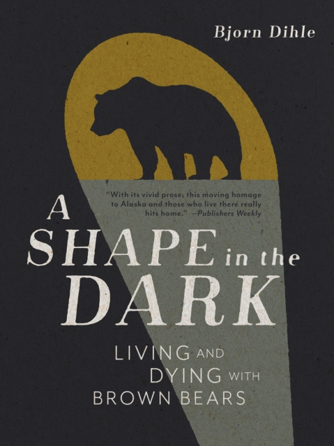 E-knjiga Shape in the Dark Bjorn Dihle