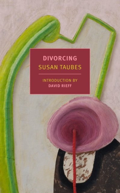 E-kniha Divorcing Susan Taubes