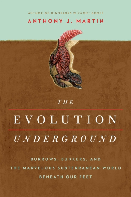 E-knjiga Evolution Underground Anthony J Martin