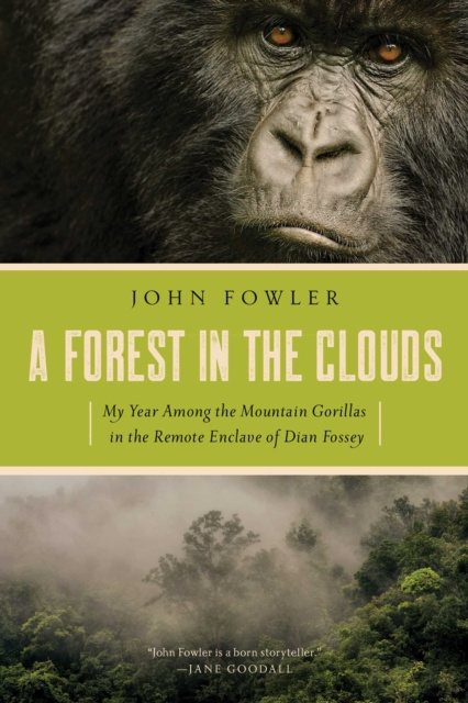 E-knjiga Forest in the Clouds John Fowler