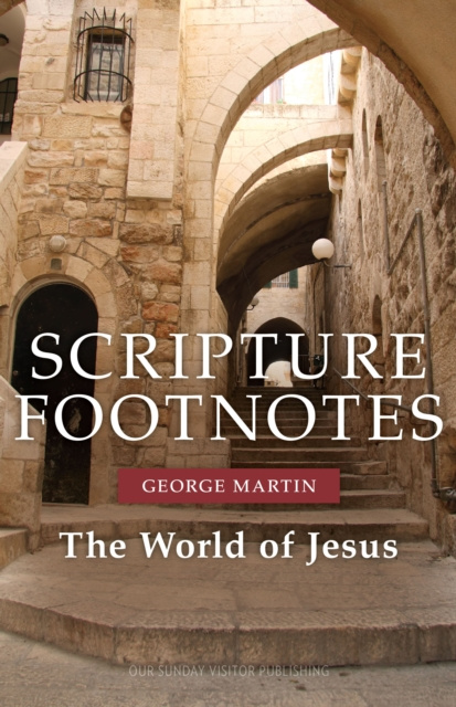 E-knjiga Scripture Footnotes George Martin