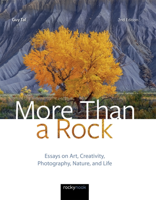 E-book More Than a Rock, 2nd Edition Guy Tal