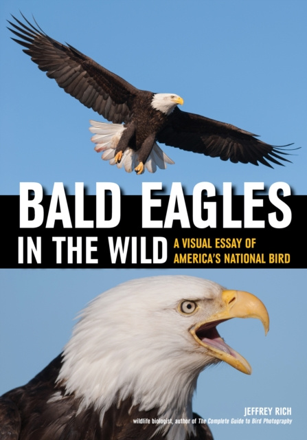 E-book Bald Eagles In The Wild Jeffrey Rich