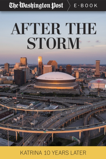 E-knjiga After the Storm The Washington Post