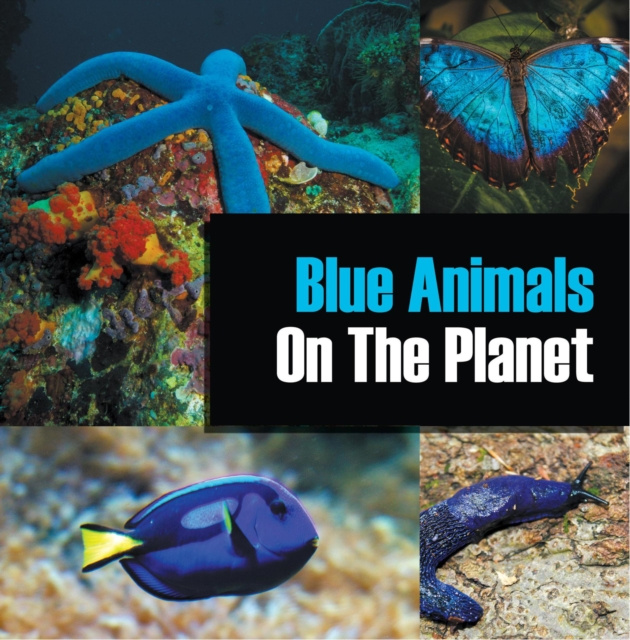 E-knjiga Blue Animals On The Planet Baby Professor