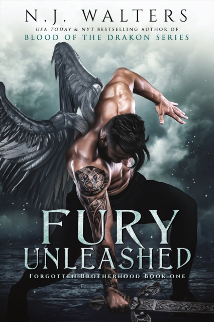 E-knjiga Fury Unleashed N.J. Walters