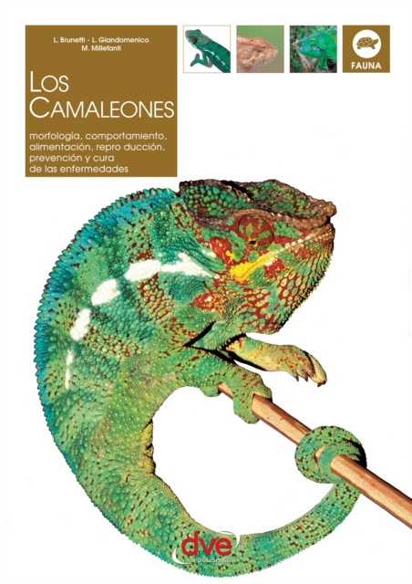 E-knjiga Los camaleones L. Brunetti