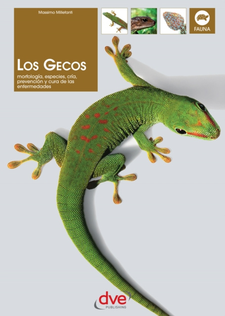 E-book Los gecos Massimo Millefanti
