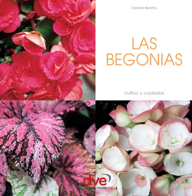 E-book Las begonias Daniela Beretta