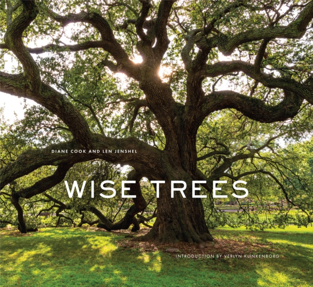E-kniha Wise Trees Diane Cook
