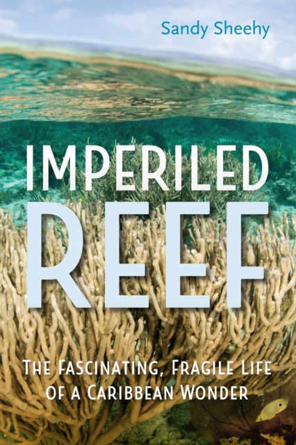 E-knjiga Imperiled Reef Sandy Sheehy