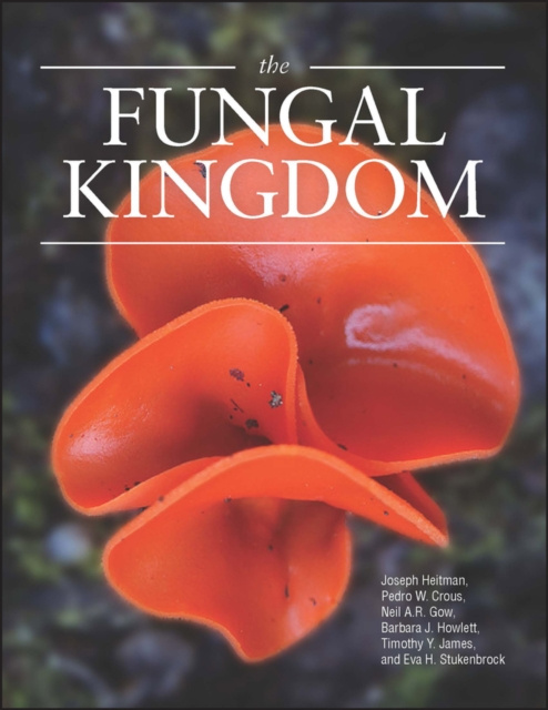 E-kniha Fungal Kingdom Joseph Heitman