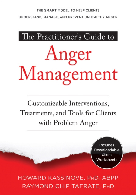 E-kniha Practitioner's Guide to Anger Management Howard Kassinove