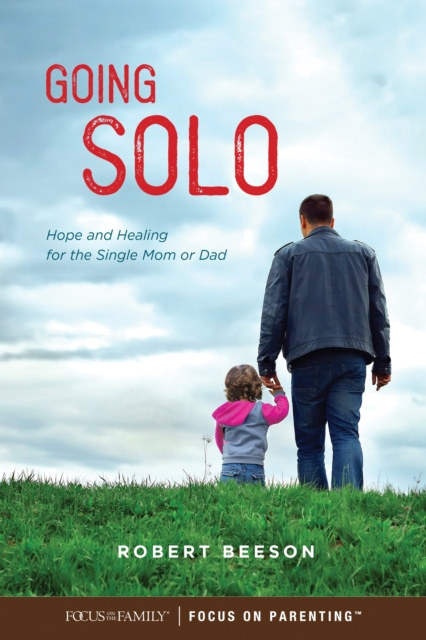 E-book Going Solo Robert Beeson