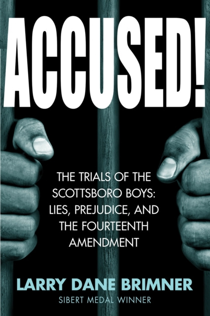 E-book Accused! Larry Dane Brimner