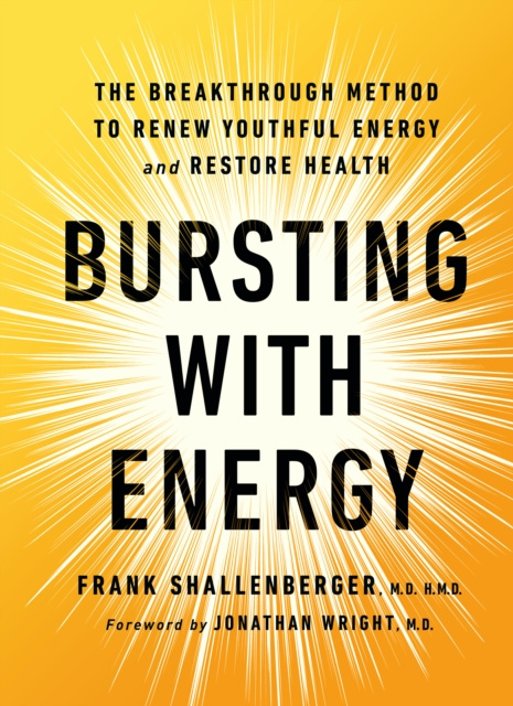 E-knjiga Bursting with Energy Frank Shallenberger