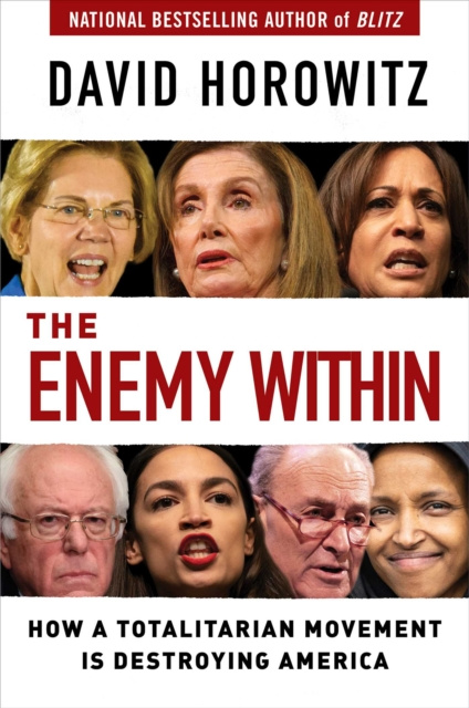 E-knjiga Enemy Within David Horowitz