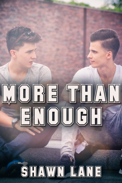 E-knjiga More Than Enough Shawn Lane