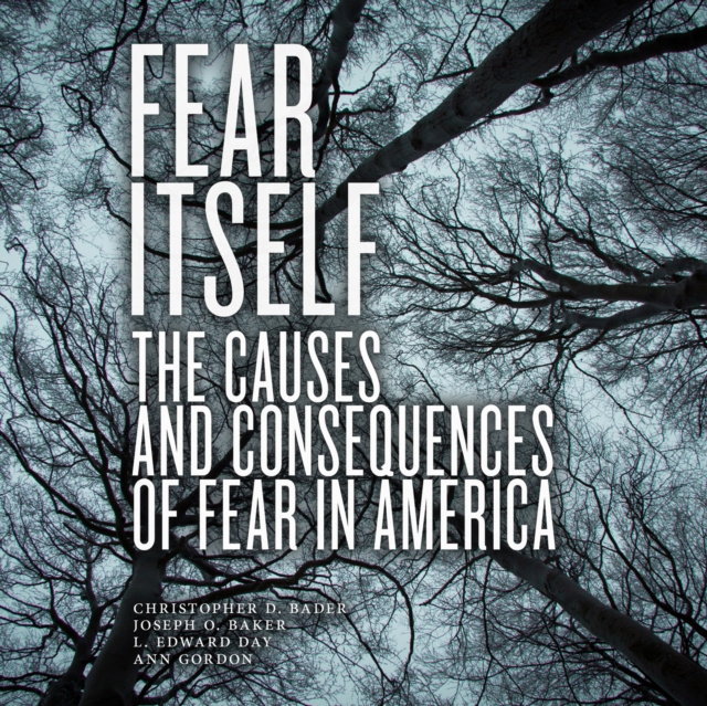 Audiobook Fear Itself Ann Gordon