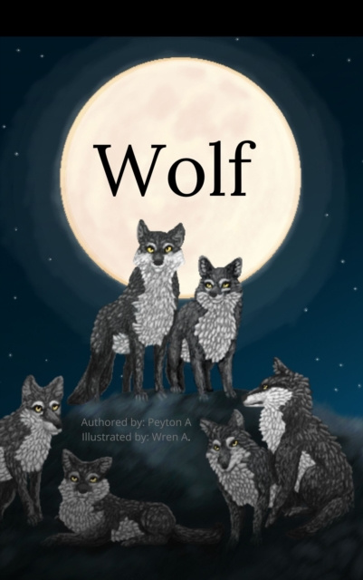 E-knjiga Wolf Ahmann Peyton Ahmann