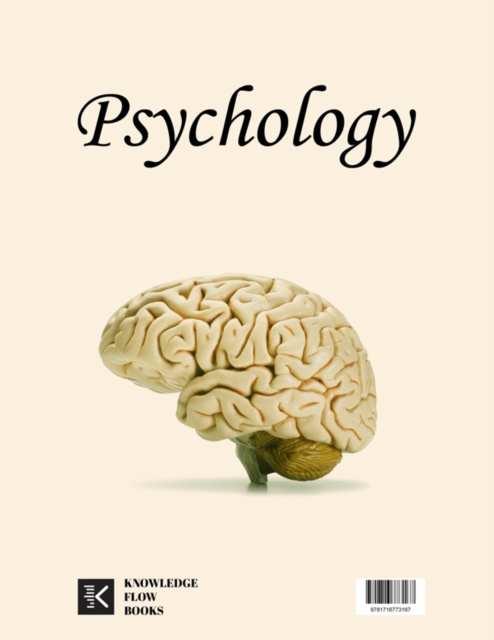 E-kniha Psychology Flow Knowledge Flow