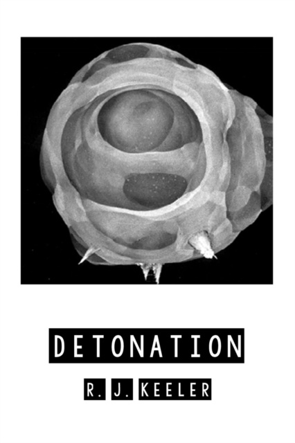 E-knjiga Detonation R. J. Keeler