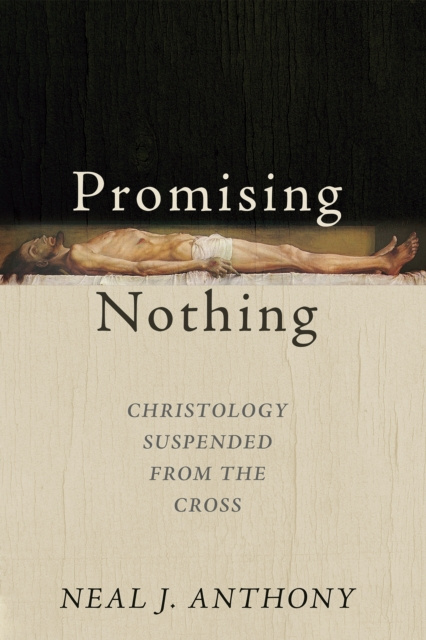 E-book Promising Nothing Neal J. Anthony