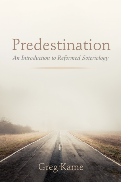 E-knjiga Predestination Greg Kame