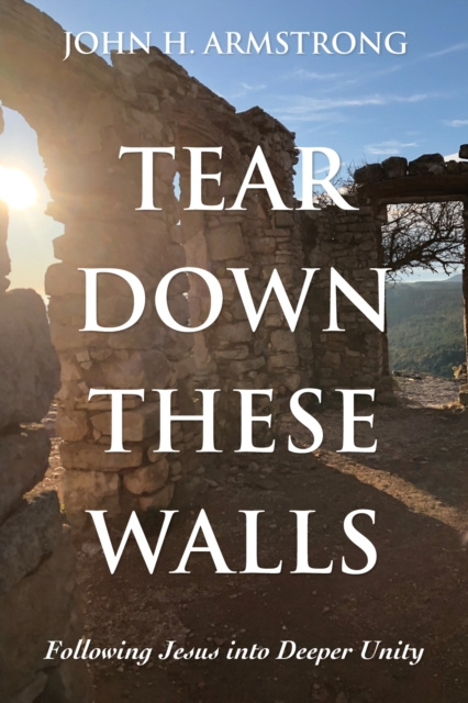 E-knjiga Tear Down These Walls John H. Armstrong