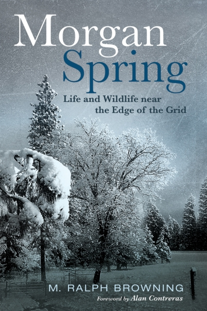 E-book Morgan Spring M. Ralph Browning