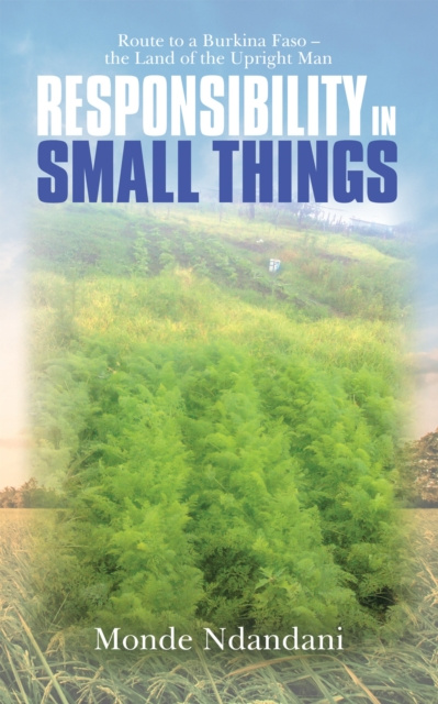 E-knjiga Responsibility in Small Things Monde Ndandani