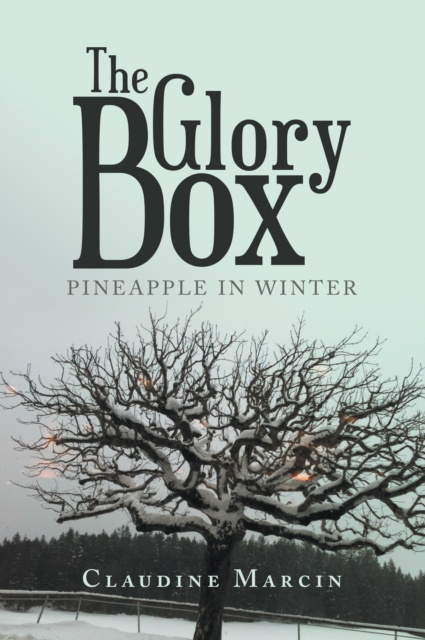 E-book Glory Box Claudine Marcin