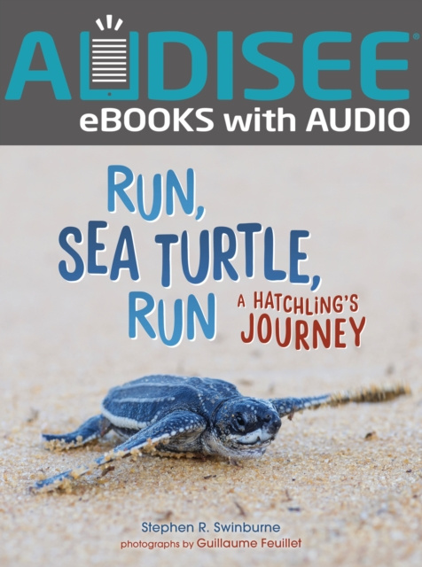E-book Run, Sea Turtle, Run Stephen R. Swinburne