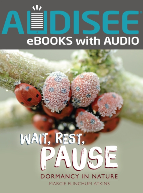 E-knjiga Wait, Rest, Pause Marcie Flinchum Atkins