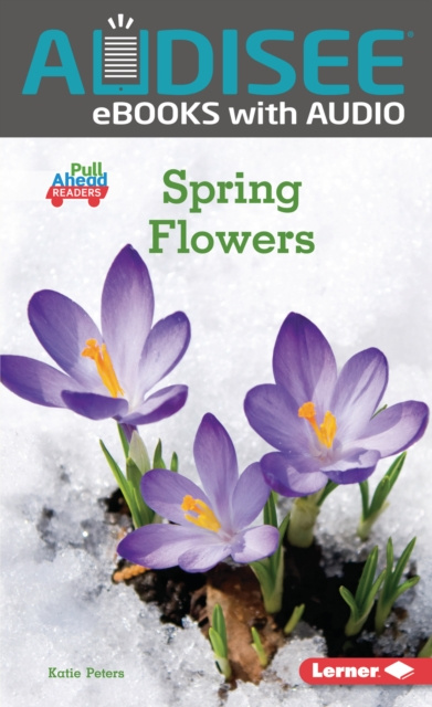E-book Spring Flowers Katie Peters