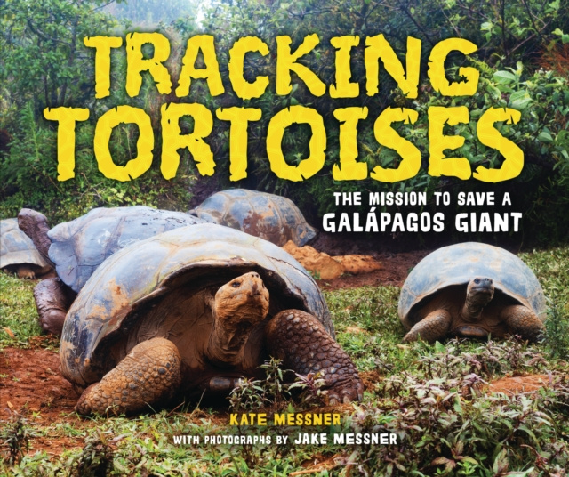 E-kniha Tracking Tortoises Kate Messner