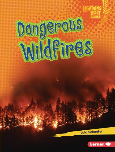 E-knjiga Dangerous Wildfires Lola Schaefer