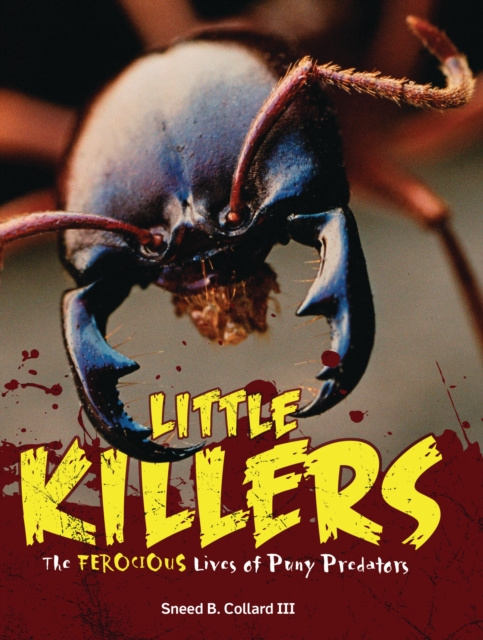 E-knjiga Little Killers Sneed B. Collard III