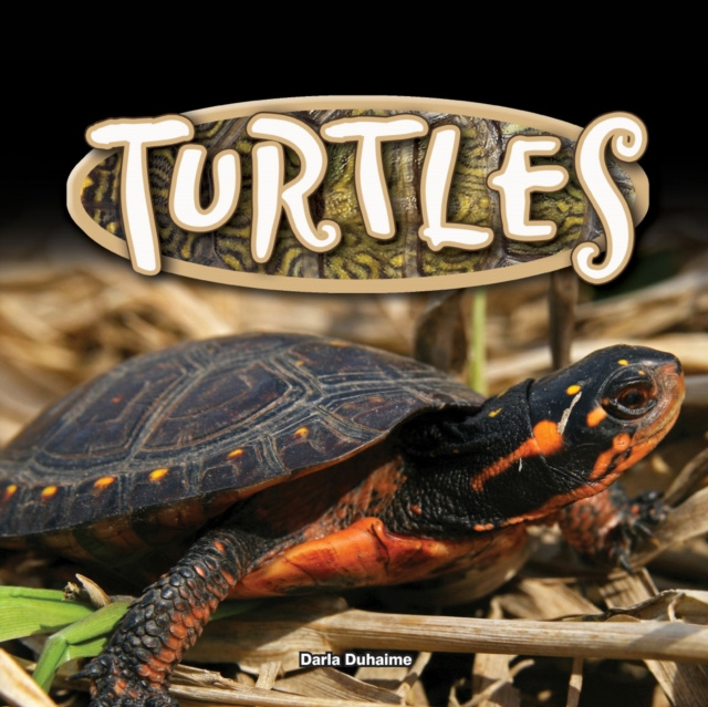 E-kniha Turtles Darla Duhaime