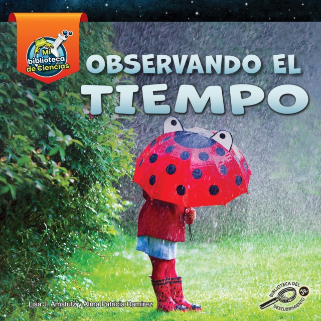 E-book Observando el tiempo Lisa J. Amstutz