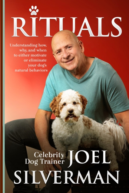 E-knjiga Rituals Joel Silverman