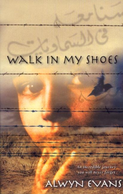 E-knjiga Walk in My Shoes Alwyn Evans
