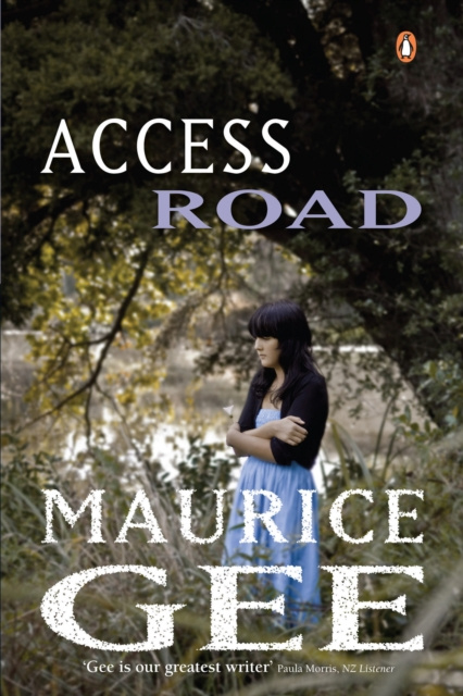 E-book Access Road Maurice Gee
